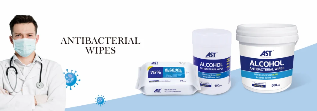 Sanitizing Antibacterial 30 Counts Fresh Scent Antibacterial Wet Tissue Antiseptic Wet Wipes