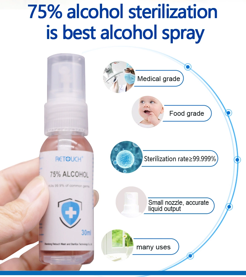 Wholesale Antibacterial 100ml Spray Instant Alcohol Hand Sanitizer